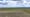 Montana Grasslands Restoration