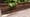 Volunteer Gardener 3422