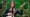 Rhiannon Giddens | Bill Murray: The Mark Twain Prize