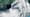 News Wrap: Gulf Coast prepares for Tropical Storm Bertha