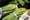 Cyclospora, salmonella cases raise food safety concerns