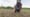 Jubilee Justice Regenerative Farming: Tackling Racism with Rice