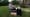 Volunteer Gardener 3501