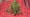 Volunteer Gardener 3502
