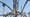 Rogelio Acevedo on Watts Towers Arts Center