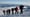 Broadcast Episode: Climbing Mount Tahoma (aka Rainier), The Hidden Worlds under Everyday Docks, Elk Flats Photo Essay.