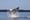 Salish Sea's 'humpback comeback' is a good sign, but concerns remain