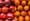 Under the Dome: The Apples and Oranges Legislature