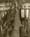 Bainbridge remembers the Japanese American expulsion on Saturday