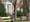 On 'zealous' parents and corrupt college admissions 