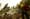 What 13,000 wildfires teach us about Washington forests