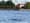 Rare beluga whale sighting in Puget Sound stirs excitement — and concern