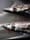 Saving forage fish: Why the delay?