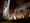 Cappella Romana: Getting down Gregorian style