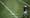 Can Seahawks golden boy Russell Wilson carry the team to a blitz?