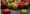 Debunking organics: Not in Seattle's backyard