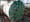 In/Flux: Kiss Comcast goodbye? MSFT, AAPL play copycat. Personal branding with Bertha.