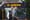 Cycle of violence: Downtown bus shooter had been shot himself
