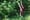 Greek myth goes online in frantic, fascinating one-woman-show