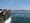 Whale-watching for free, aboard the state ferries