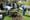 Green Acre Radio: Faith and food go together in multi-ethnic churches' garden efforts