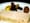 One Dish: The prince of chicken livers