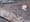 New Great White Worm find in Oregon?