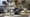 Human Elements: Using bird wings to build better planes