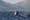 A whale tour to keep Puget Sound orcas in good health 