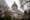 Why you should pay attention to the 2023 Washington Legislature