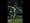 Sounders win their biggest game to date