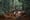 Pacific NW companies implicated in illegal rainforest logging