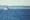 Slower ships: A saving grace for orcas?