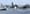 Oil tankers could doom Puget Sound's orcas