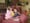 Legislation to ban Tris flame retardants hits snag