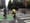 Note to Second Ave: Green means go