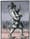 Crosscut Tout: Puppet opera, Neapolitan-spiced