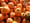$15 or Less: Halloween-o-mania