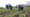 How WA farmers are safeguarding migrant workers