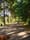 Ghosts of Lake Washington parks past