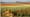 A tough new effort to preserve Skagit Valley farmland