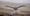 Green Acre Radio: The snowy owl mystery