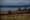 What we learned this year about human waste and Puget Sound