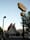 Googie or not, it's a landmark