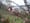 Daylight grows again, and so does the garden