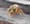 Banished from the garden: yellowjackets