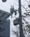 Sawant moves to curb federal surveillance