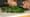 Made There: Chef Tad Mitsui finds harmony and home at Heyday Farm