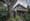 How COVID-19 hurt Seattle's plan to strengthen its tree laws