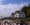 The great Vashon Island library war